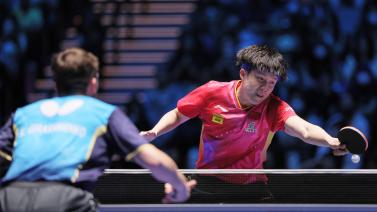 和情感联系 和情感联系